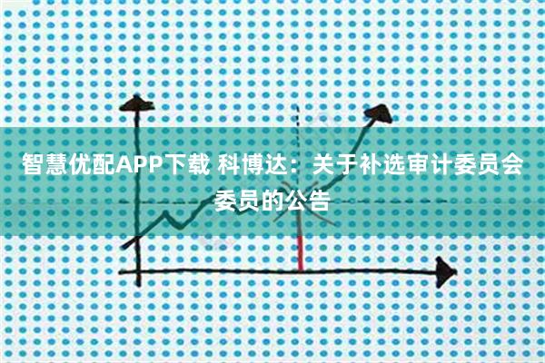 智慧优配APP下载 科博达：关于补选审计委员会委员的公告